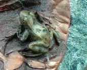 A scale model (one-third scale) of a leopard frog that may be wondering what the disturbance is to his private oasis.